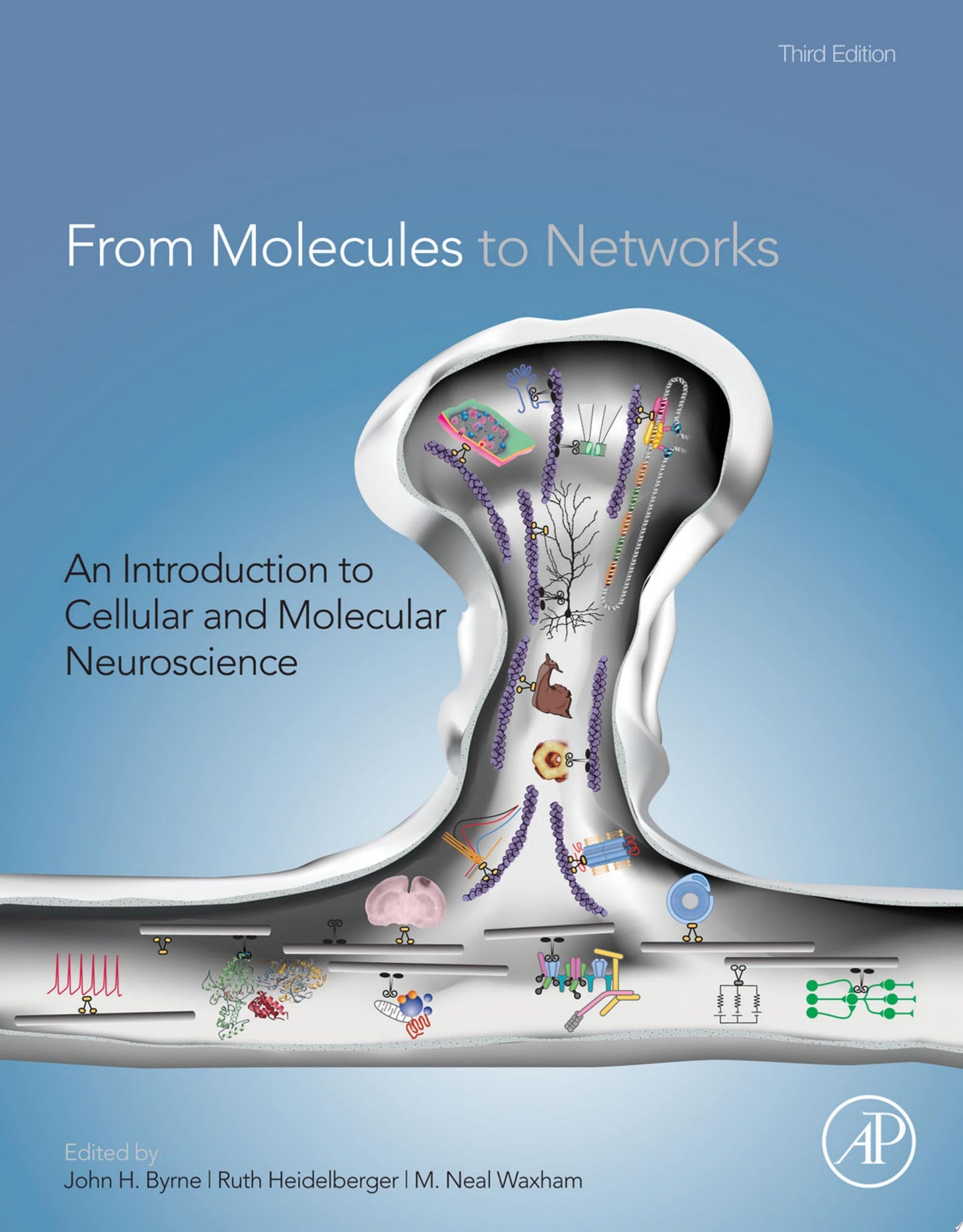 From Molecules to Networks An Introduction to Cellular and Molecular Neuroscience, 2nd Edition