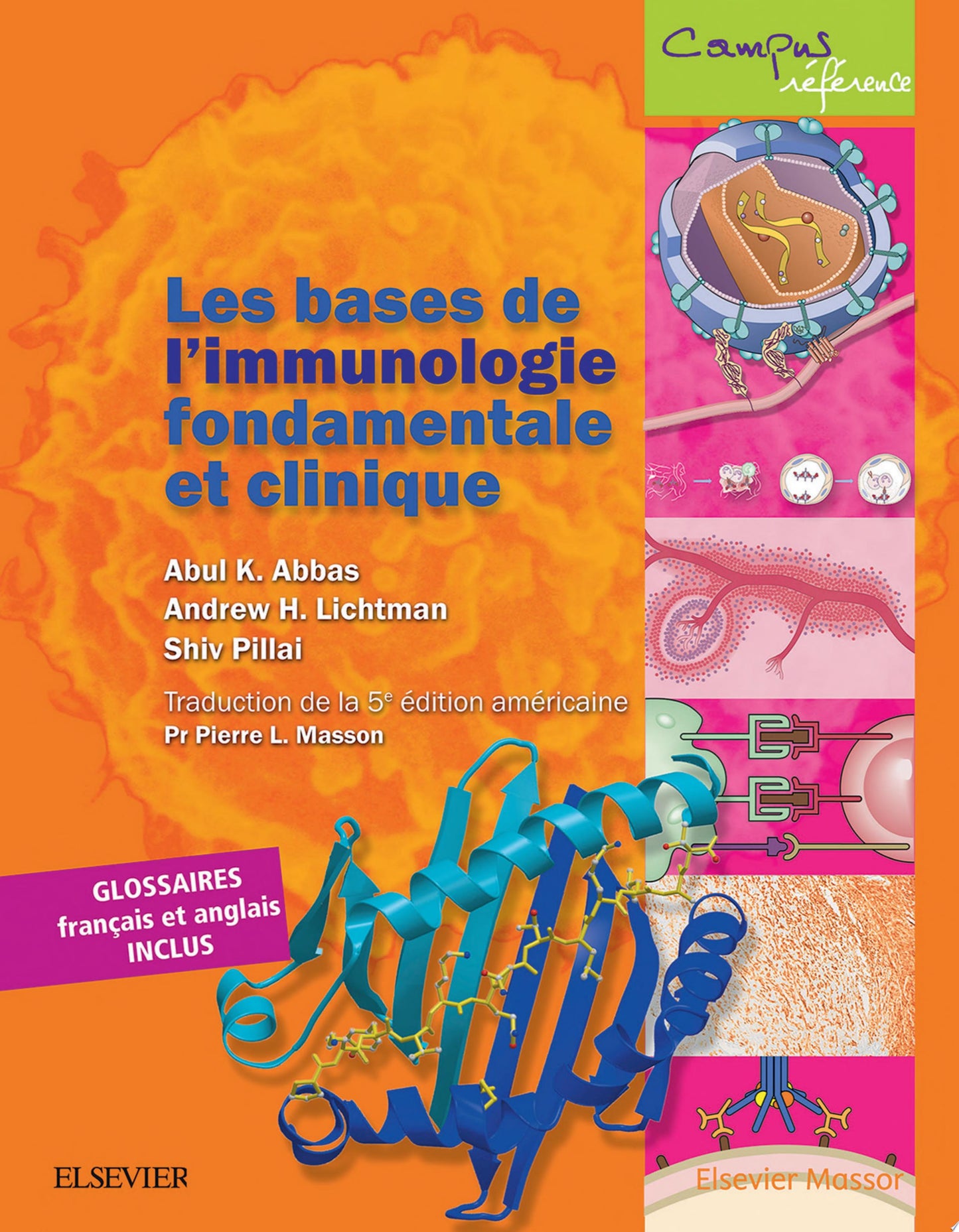 Basic Immunology: Functions and Disorders of the Immune System, 5th Edition
