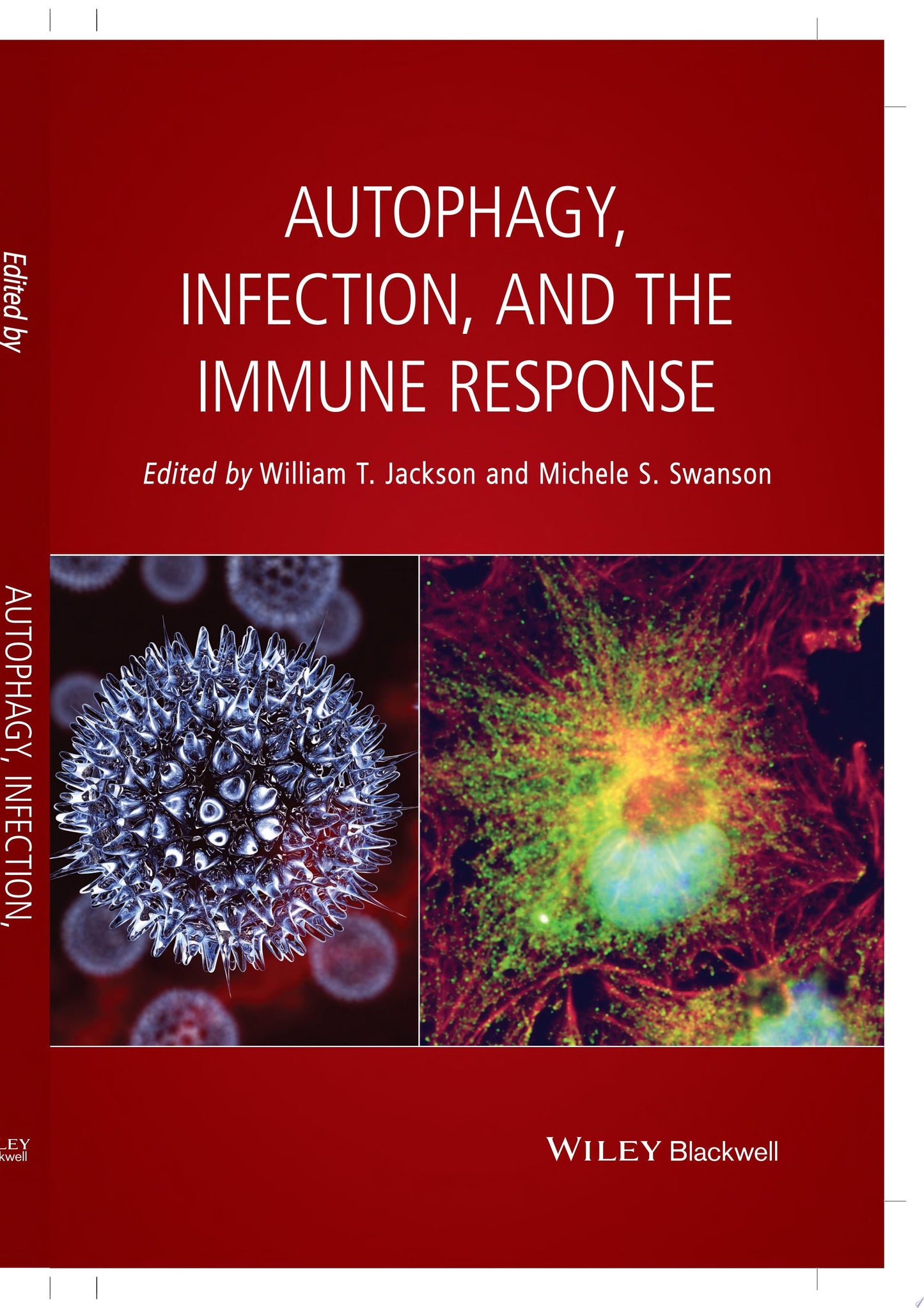 Autophagy, Infection, and the Immune Response