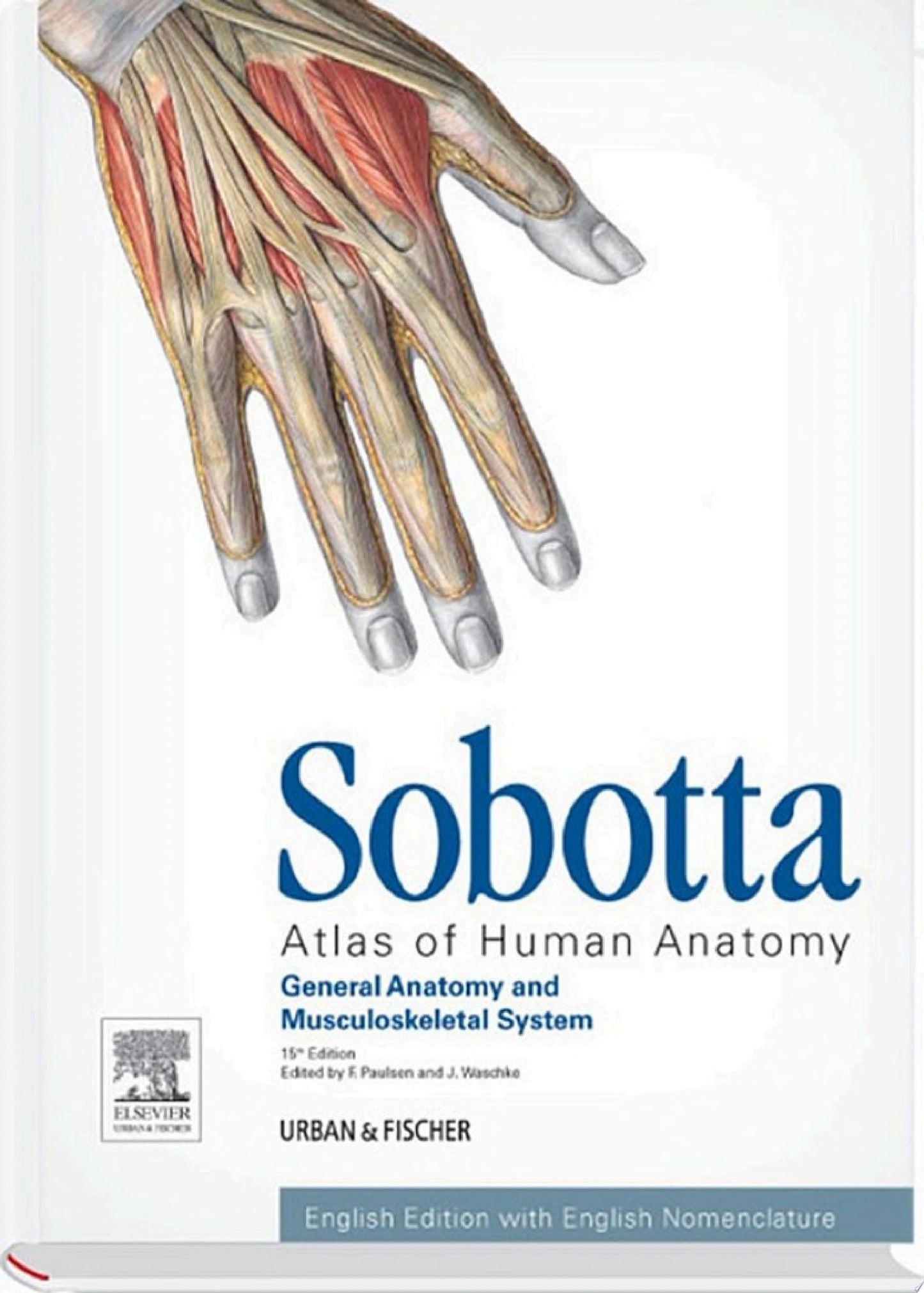 Sobotta Atlas of Anatomy, Internal Organs 15th Edition: Volume 2: Internal Organs