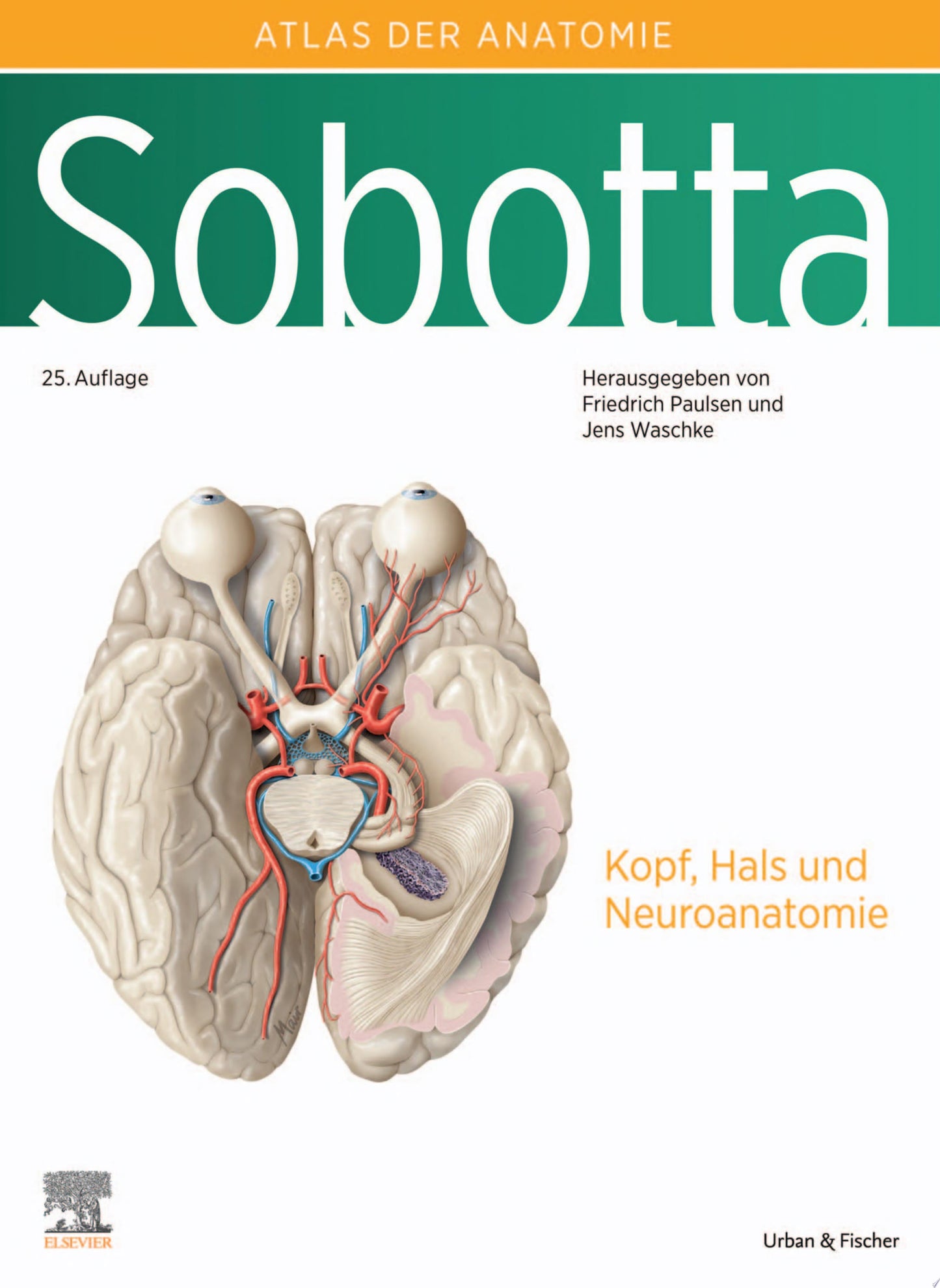 Gray’s Atlas of Anatomy , 3rd Edition