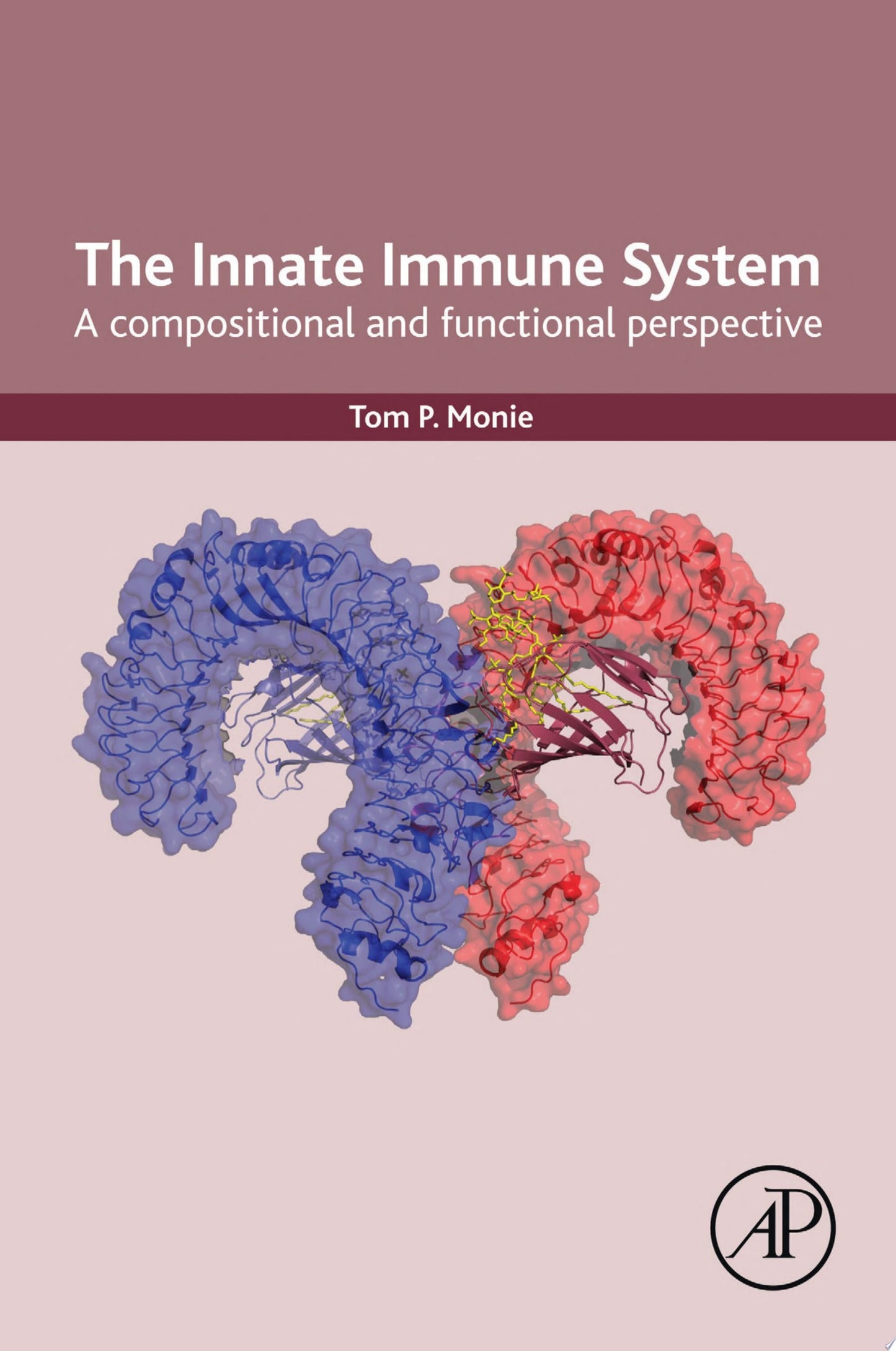 The Innate Immune System: A Compositional and Functional Perspective