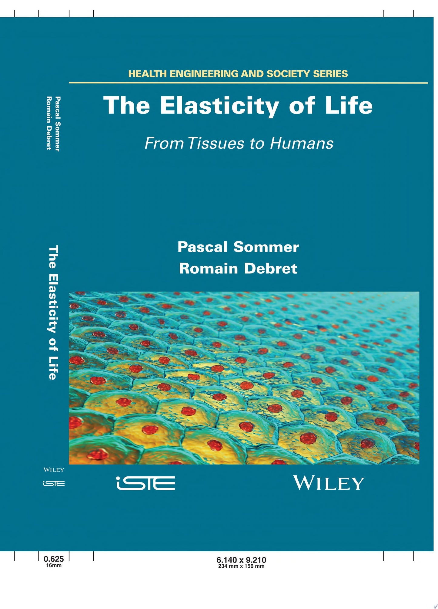 The Elasticity of Life: From Tissues to Humans